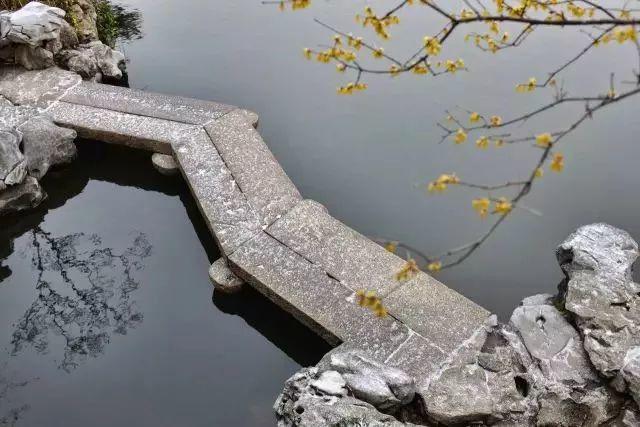 微園林|無橋不成園，有橋景更幽