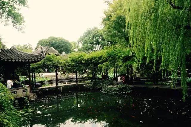 微園林|無橋不成園，有橋景更幽