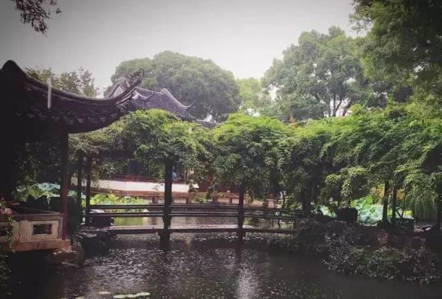 微園林|無橋不成園，有橋景更幽