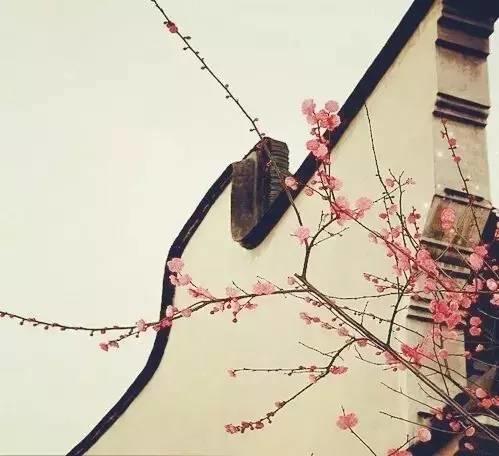 新視野|中國古建筑驚艷世界的美！