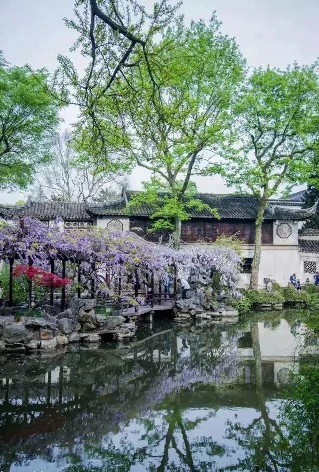 微園林|無橋不成園，有橋景更幽