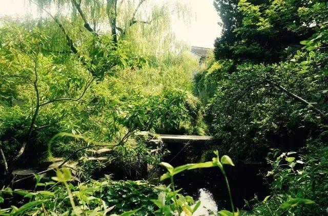 微園林|無橋不成園，有橋景更幽