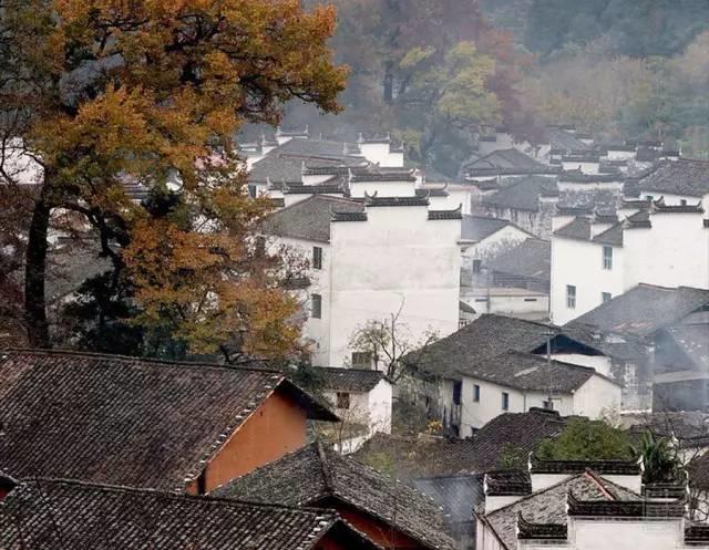 新視野|中國古建筑驚艷世界的美！