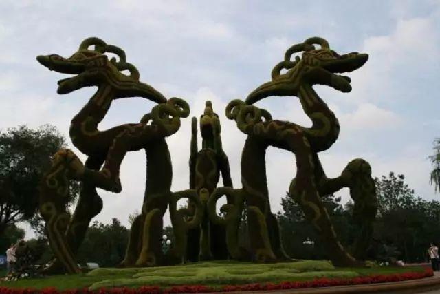 微園林|園林設(shè)計(jì)需要用到的景觀樹知識(shí)大全