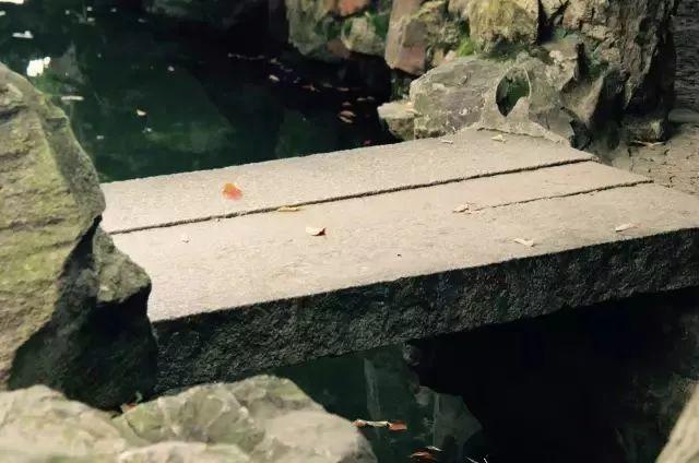 微園林|無橋不成園，有橋景更幽