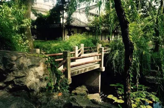 微園林|無橋不成園，有橋景更幽