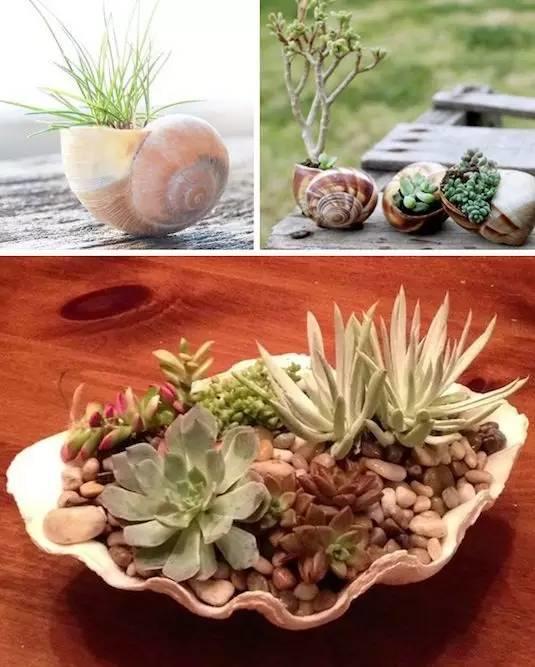 花花世界|全世界都阻止不了，一顆熱愛花草的心