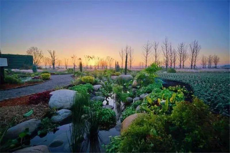 微園林|花鏡設(shè)計(jì) 微園林|花鏡設(shè)計(jì)