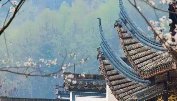 微園林|驚艷世界的中式庭院