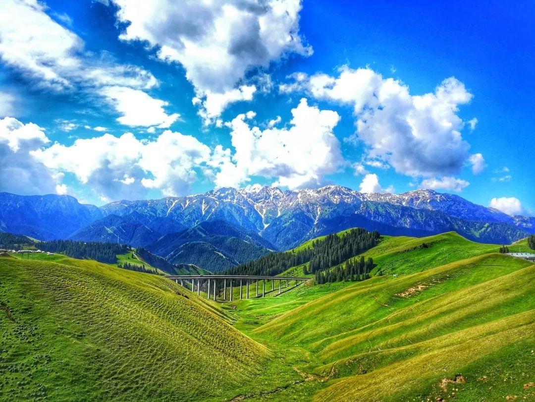 假期攻略|伊犁60000畝薰衣草，花開成海，美哭全世界
