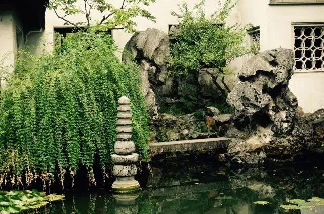 微園林|無橋不成園，有橋景更幽