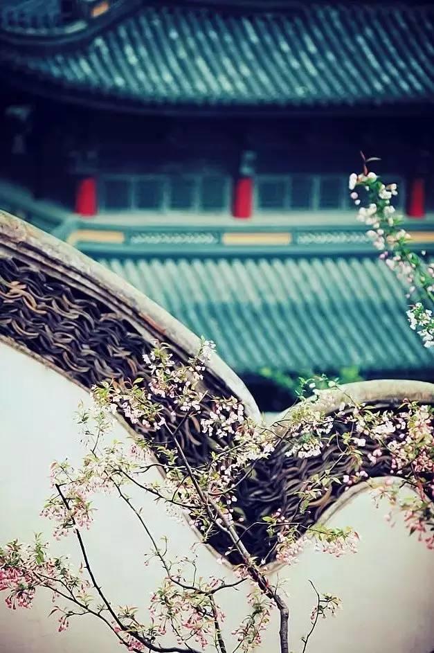 新視野|中國古建筑驚艷世界的美！