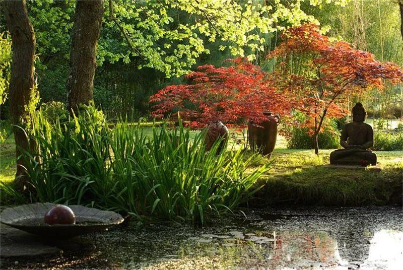 微園林|花鏡設(shè)計(jì) 微園林|花鏡設(shè)計(jì)