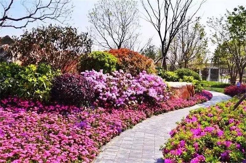 微園林|花鏡設(shè)計(jì) 微園林|花鏡設(shè)計(jì)