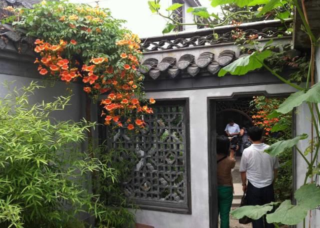 花花世界|一棵爬藤植物，讓整個院子成為花海
