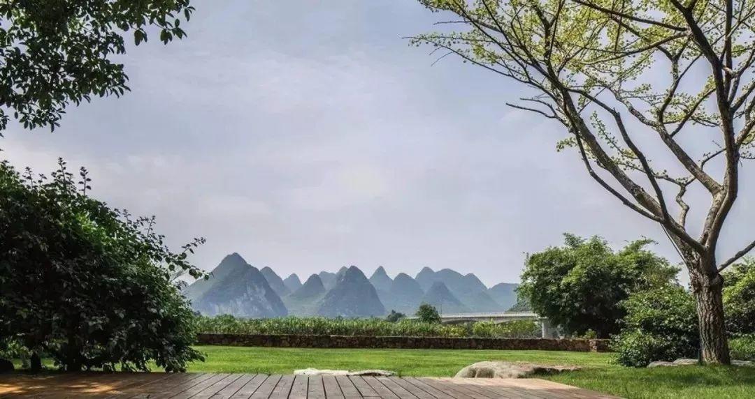微園林|驚艷世界的中式庭院