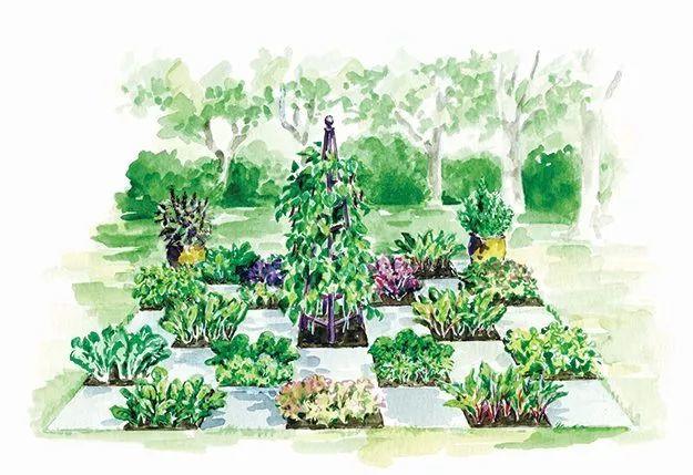 微園林|可食地景 · 花園式菜園的設(shè)計(jì)妙招