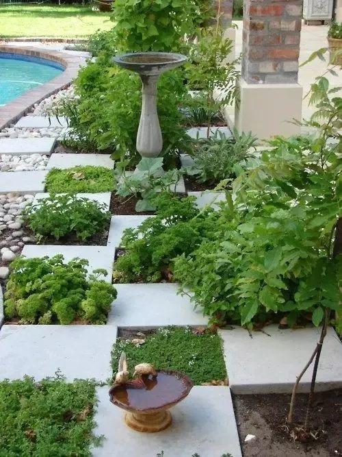 微園林|可食地景 · 花園式菜園的設(shè)計(jì)妙招