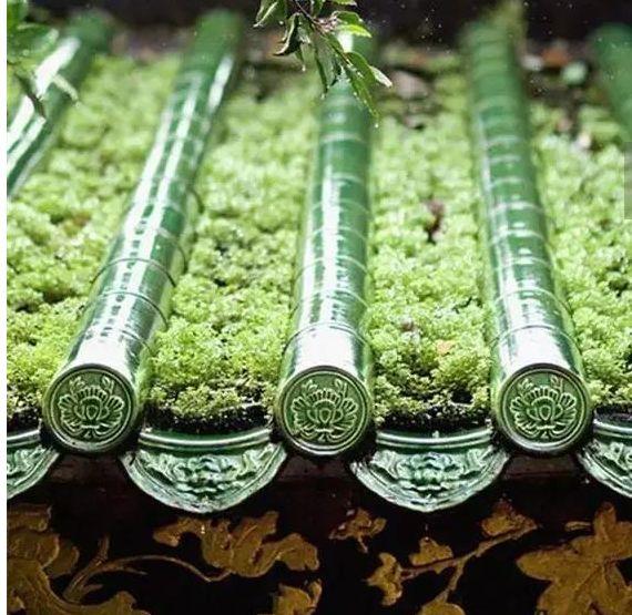 微園林|如詩般的小院，你可有心動？
