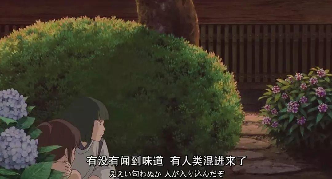 花花世界|從神劇“千與千尋”看植物配置與建筑！
