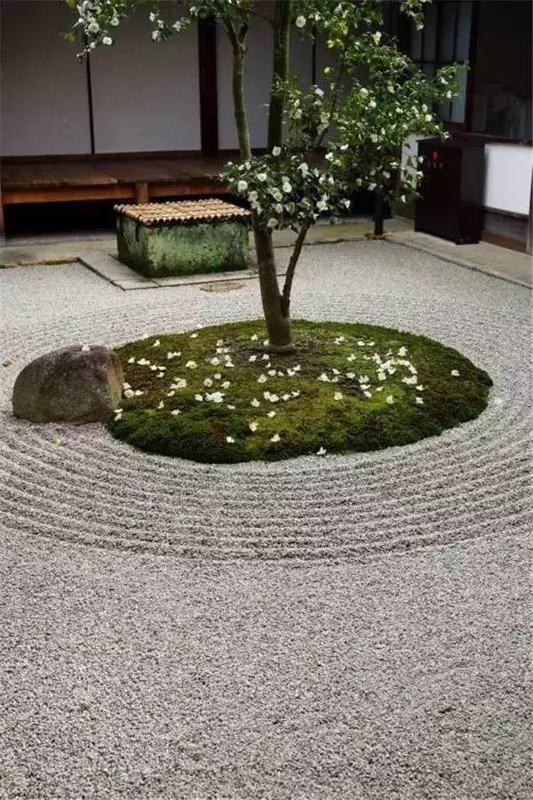 微園林|醉美庭院看過來
