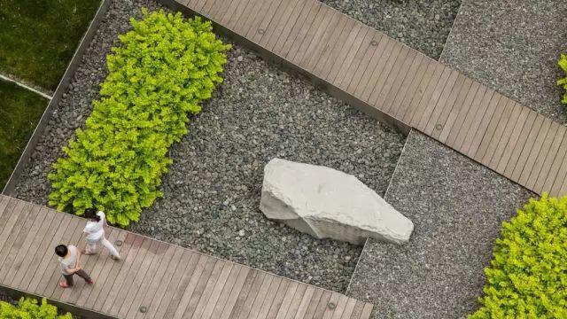 微園林|醉美庭院看過來