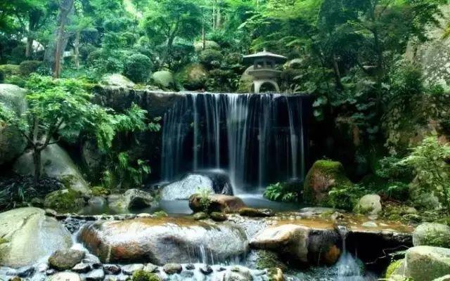 微園林|醉美庭院看過來