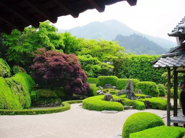 微園林|醉美庭院看過來