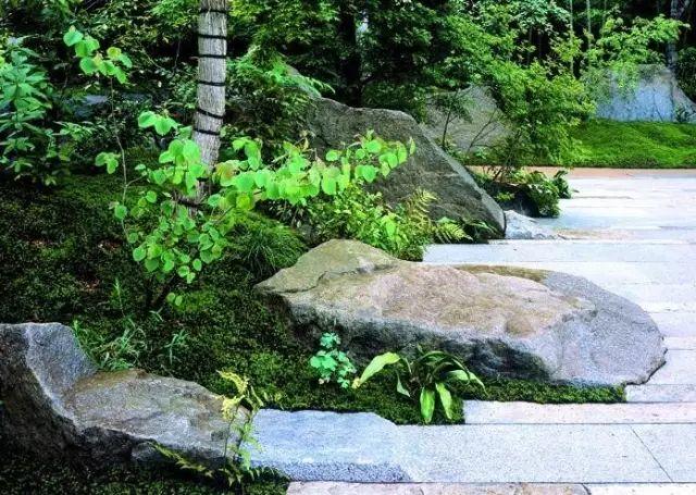 微園林|醉美庭院看過來