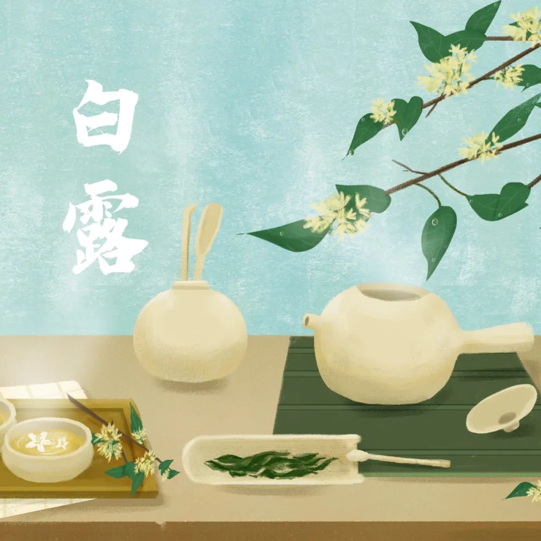 今日白露|露從今夜白，涼自此時(shí)生