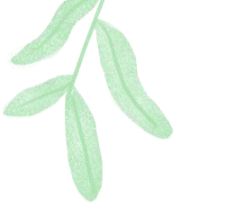今日白露|露從今夜白，涼自此時(shí)生