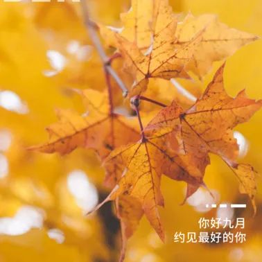 九月你好 | 不負(fù)時(shí)光，與你共享美好清秋