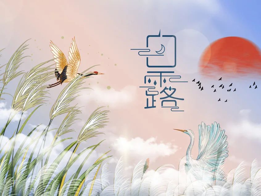 今日白露  | 清風(fēng)白露，愿歲月無憂
