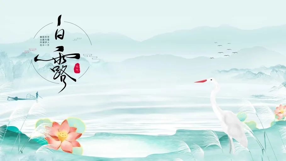 今日白露  | 清風(fēng)白露，愿歲月無憂