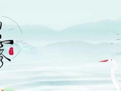 今日白露  | 清風(fēng)白露，愿歲月無(wú)憂(yōu)