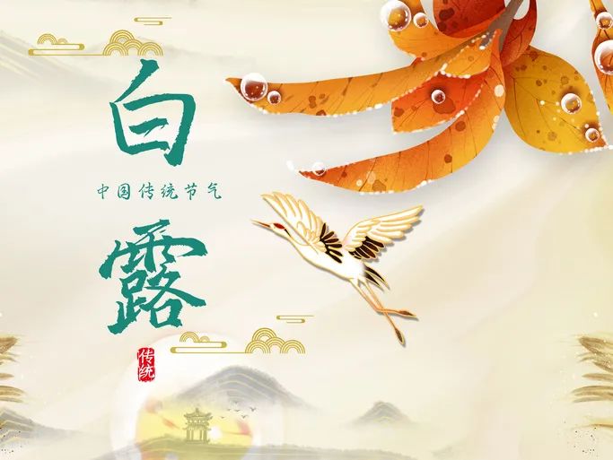 今日白露  | 清風(fēng)白露，愿歲月無憂