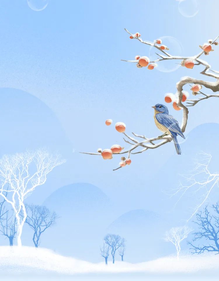 今日小雪 | 等一場雪落，盼一冬安暖