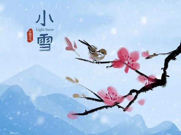 今日小雪 | 等一場雪落，盼一冬安暖