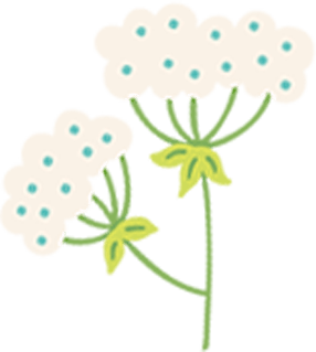 今日立春 | 迎接一場(chǎng)春日的浪漫 今日立春 | 迎接一場(chǎng)春日的浪漫