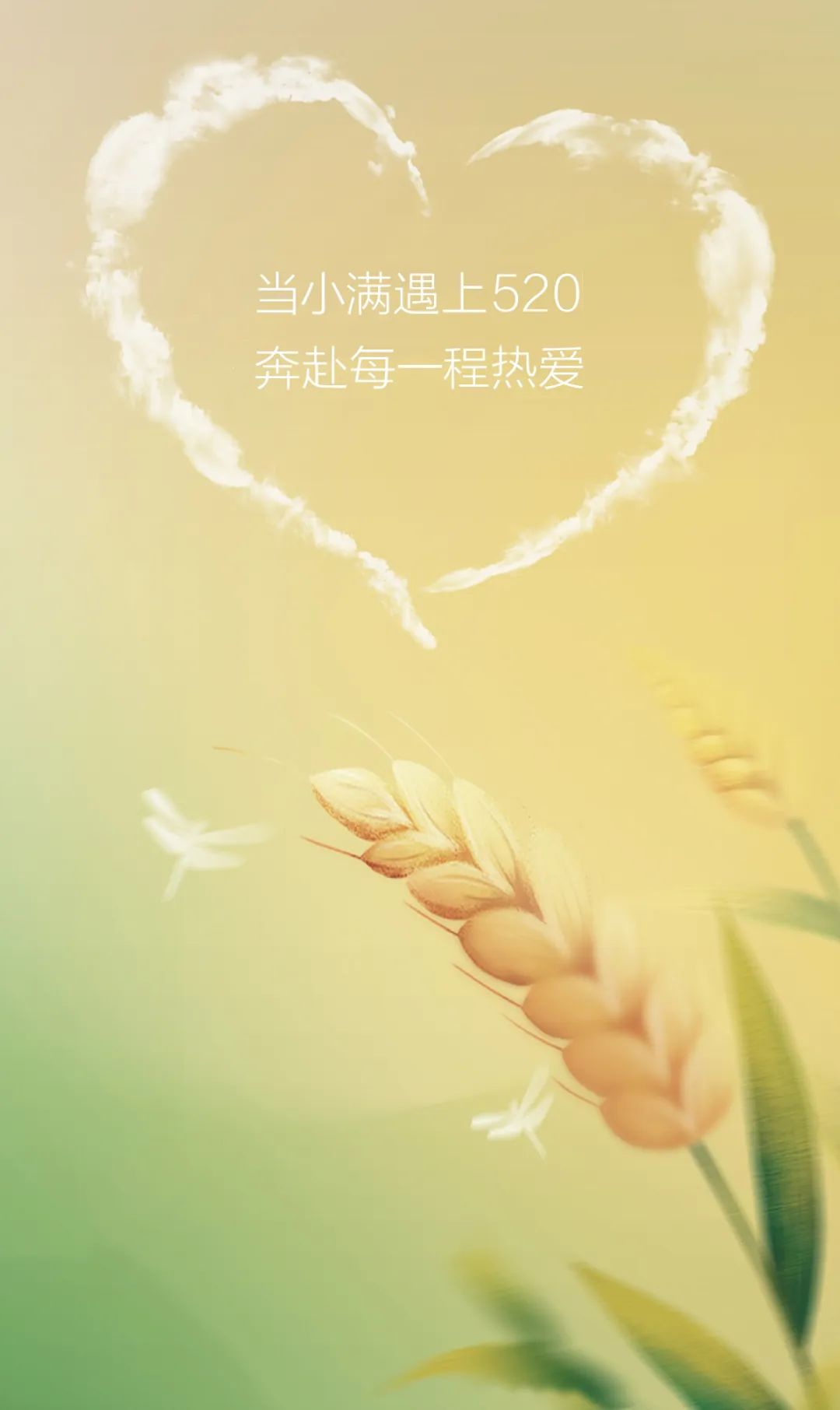 今日小滿 | 當(dāng)520遇上小滿，愿你人生小滿，愛意滿滿
