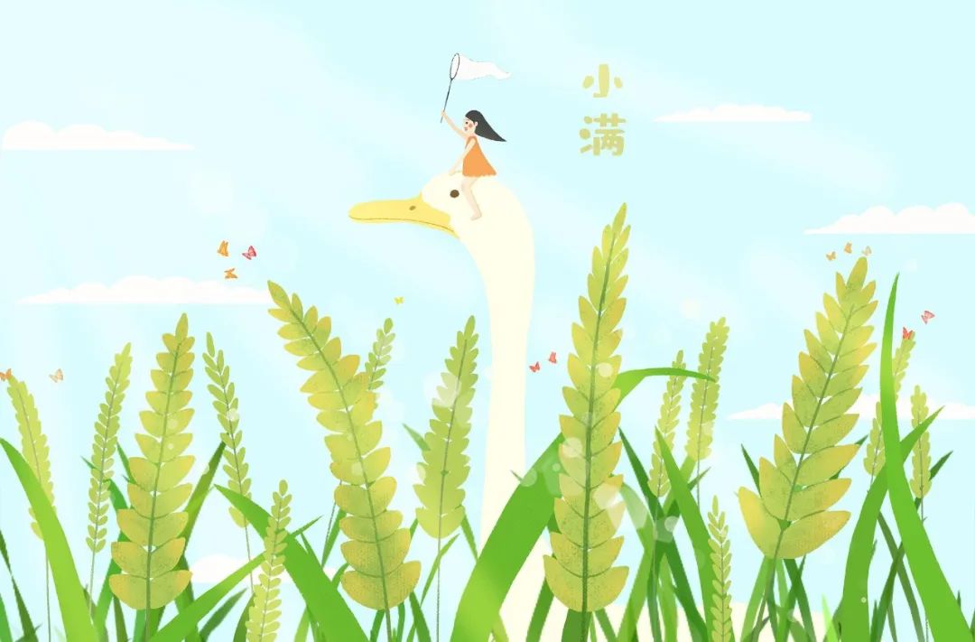 今日小滿 | 當(dāng)520遇上小滿，愿你人生小滿，愛意滿滿