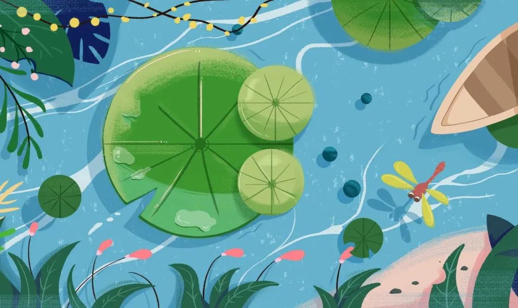 夏至 | 四時有序，夏至生輝