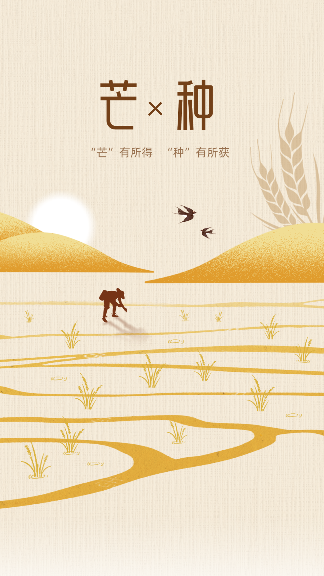 芒種 | “忙”有所得，“種”有所獲