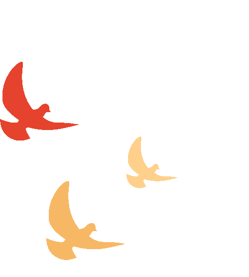 建軍節(jié) | 軍旗飄揚(yáng)，護(hù)國(guó)安寧