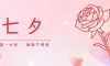 七夕 | 鵲橋相會，情意綿綿