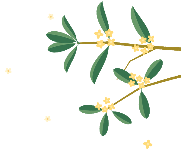 花好月圓·清風裝飾·中秋專享惠，九重福利，驚喜連連！