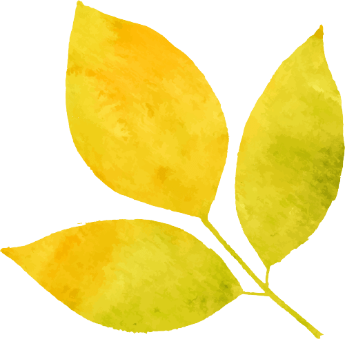 秋分 | 秋分已至  歲月靜好