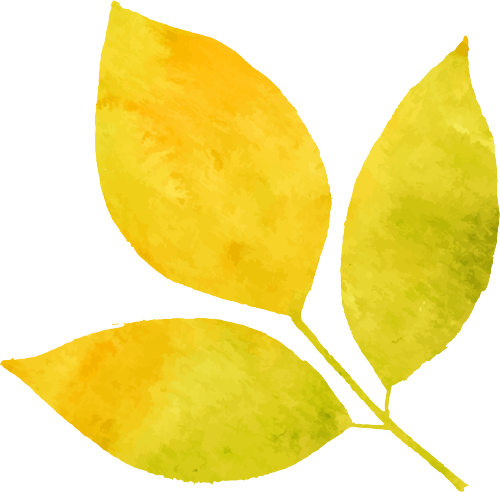 秋分 | 秋分已至  歲月靜好