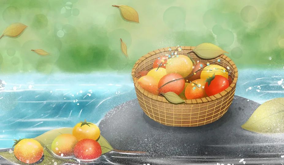 寒露 | 寒露至，秋意濃
